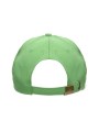 Caps Classic - apple green