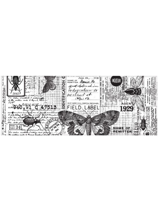 Collage Paper - Entomology