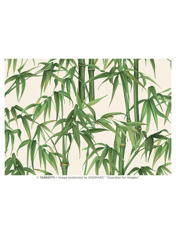 Papier - Bambù